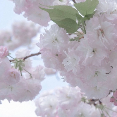 滕州FurryQQ群介绍